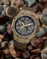 MSTR AM1020SS Ambassador Stainless Band