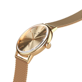 August Berg SERENITY SHINE Gold Classic Eye Gold Mesh 40mm