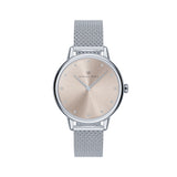 August Berg SERENITY PETITE Silver Champagne Mesh 28mm