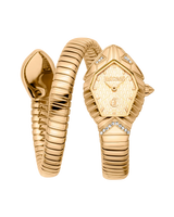 Just Cavalli Signature Snake Speranza - Yellow Gold Champagne