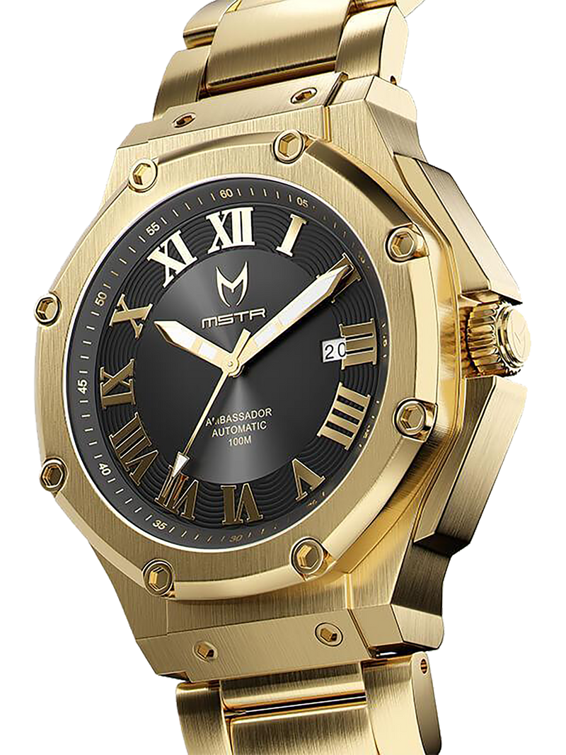 MSTR AM321SS Automatic Steel Band Klassy Watches